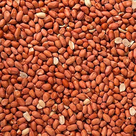 Peanuts 25KG wild bird