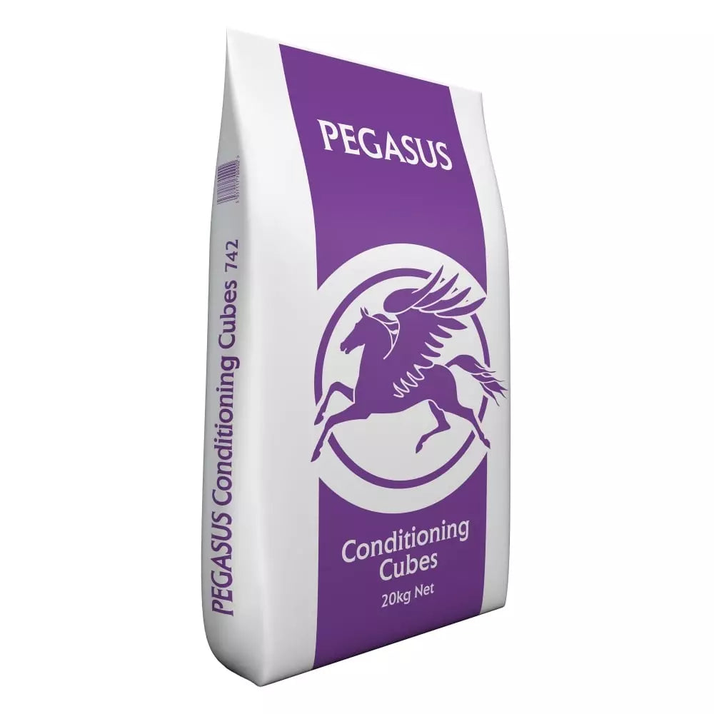 Spillers Pegasus Conditioning Cubes