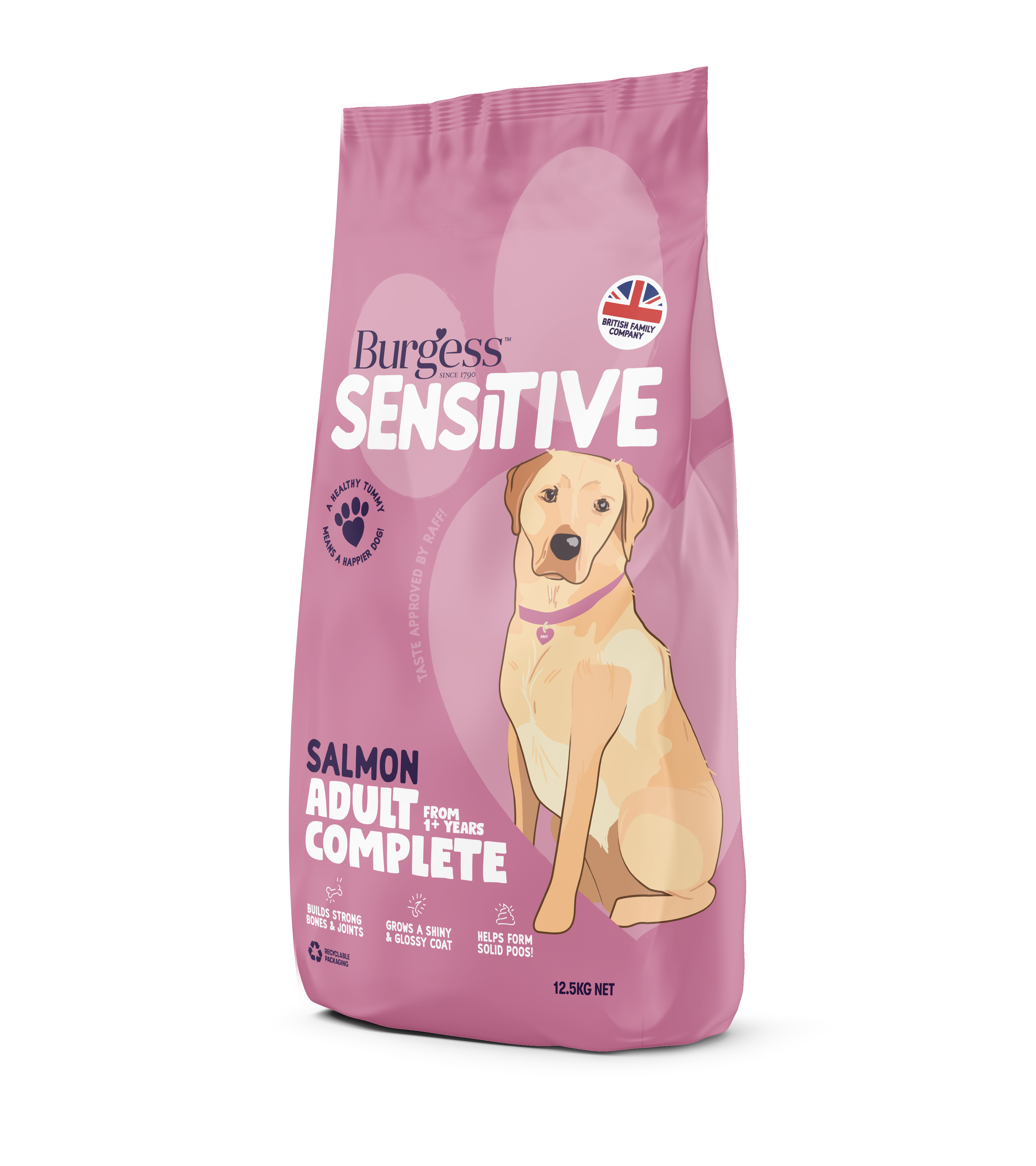 Burgess Sensitive Dog Salmon Rice English Pet Supplies