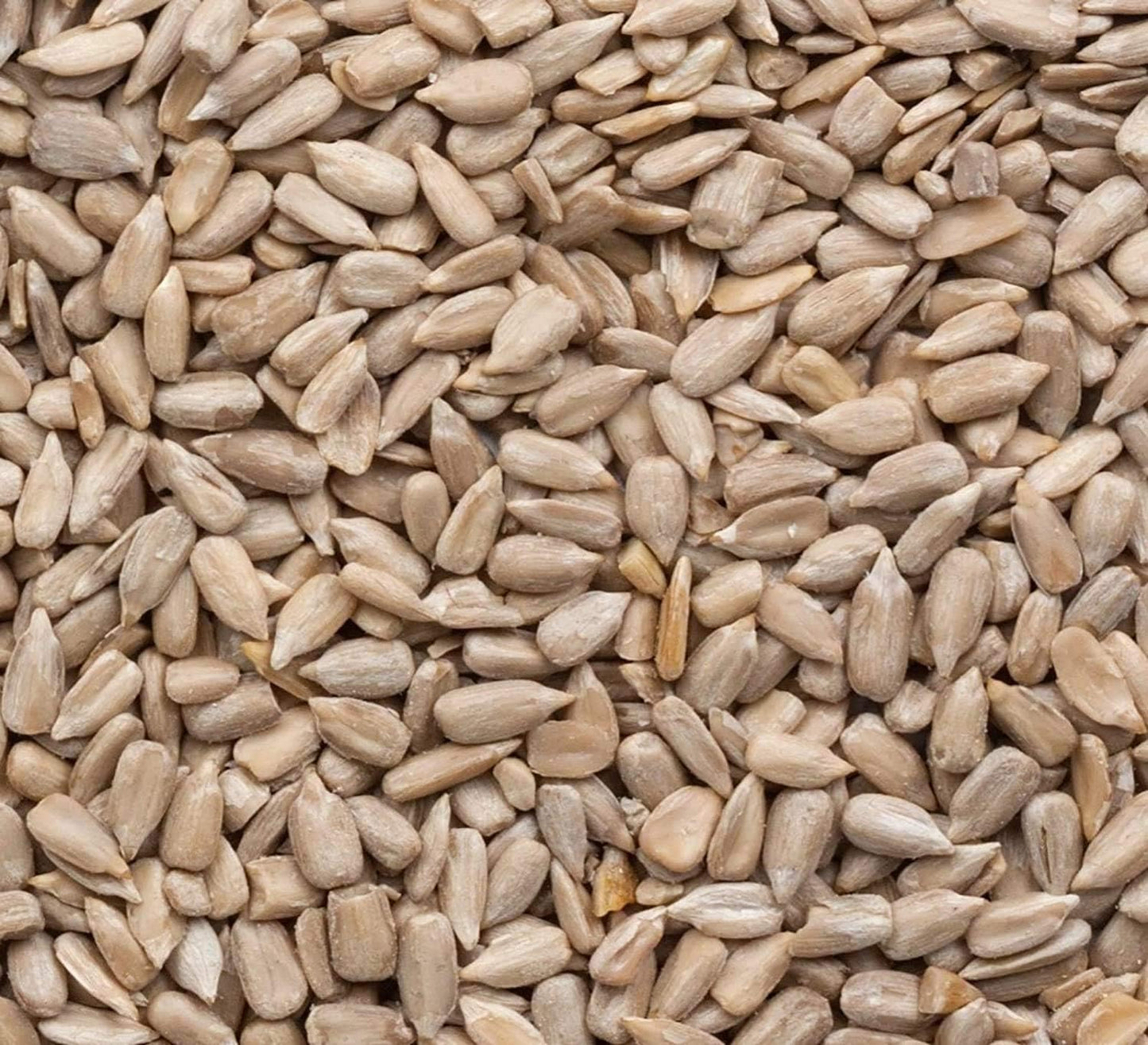 Johnston & Jeff Sunflower hearts 20kg – English Pet Supplies