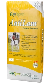 TopSpec Anti Lam