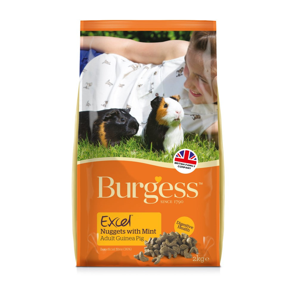 Burgess Excel Guinea Pig Mint Nuggets