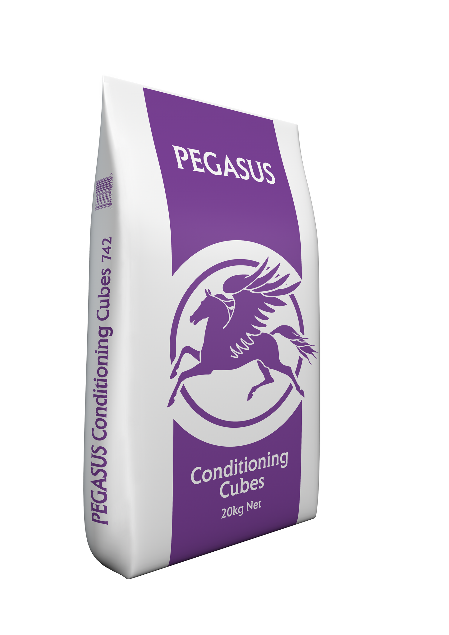 Pegasus Conditioning Cubes