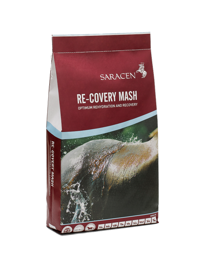 Saracen Re-Covery Mash