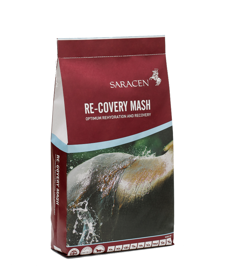 Saracen Re-Covery Mash