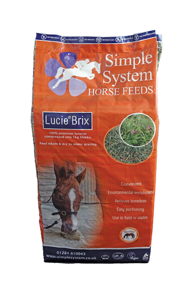 Simple System Lucie Brix Lucerne