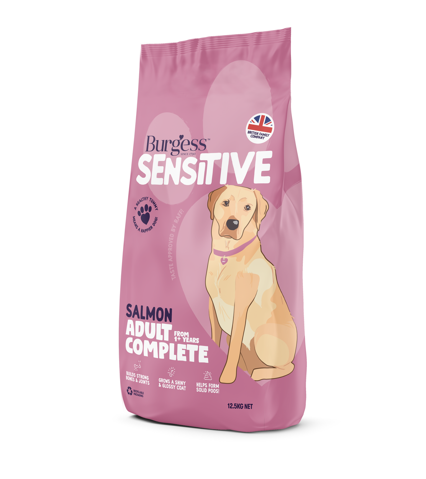 Burgess Sensitive Dog Salmon&Rice