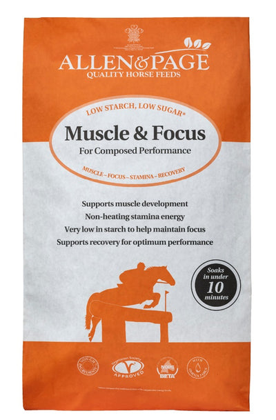A&P Muscle & Focus